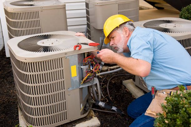 Best HVAC air duct cleaning  in Roosevelt Park, MI